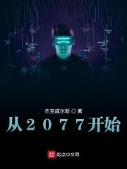 2077开始选哪个