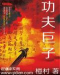 功夫巨星电影