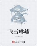 网王之越前飞雪