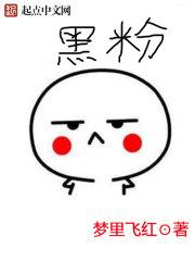 黑粉头头是什么意思